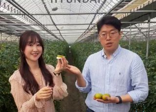 현대백화점, ‘신선식품 전문 라방 프로그램’ 론칭