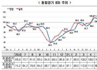 기업 체감경기 회복세 다소 위축...6월 BSI 전망치 102.6