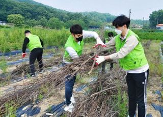 농협은행 IT부문, 신입 직원과 함께하는 농촌 일손돕기 실시