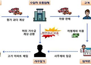 수입차·골프·집쿡산업 등 ‘코로나 호황’ 탈세자 67명 적발