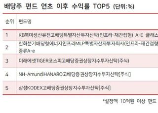 실적 장세 온다...배당주 펀드 한달새 1천억 유입