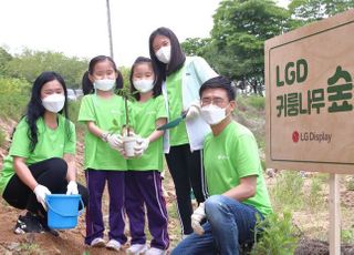 LG디스플레이, DMZ 민통선 생태숲 복원 활동 나서