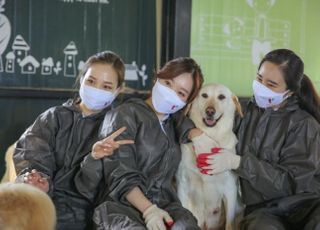 티웨이항공, 유기견 보호소 봉사활동...반려동물 사랑 실천