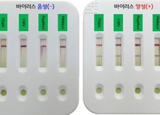 농진청, 바이러스 진단도구로 14년간 작물피해 6570억원 절감