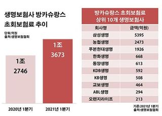 '은행-보험 동맹' 방카슈랑스 열풍의 명암