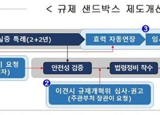 ‘실증특례 법령 정비 요청제’ 등 담은 산업융합 촉진법 국무회의 통과