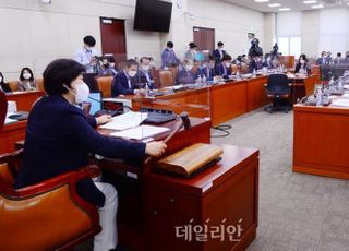 국회, 대체공휴일 확대 법률안 16일 논의…광복절 적용될까