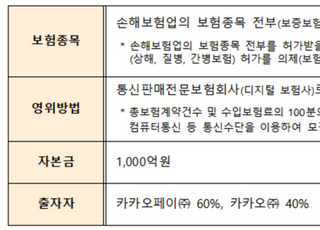 금융위, 카카오손보 예비허가…신규사업자 첫 사례