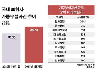 은행發 풍선효과 속 보험사 부실대출 1조 육박