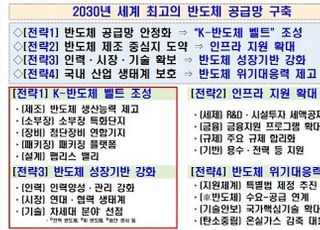 정부, 첨단센서·AI 등 K-반도체 신성장 목표 대규모 예타 추진