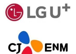 CJ ENM "LGU+, 가입자 수 제공조차 안 해...콘텐츠 헐값 관행 개선해야"