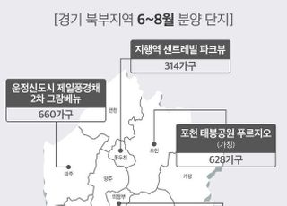 GTX 호재 탄 '경기 북부'…집값 상승률 두 자릿수 '고공행진'