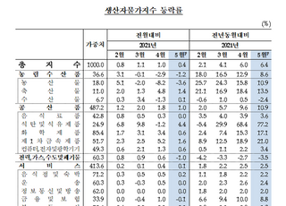 5월 생산자물가지수, 원자재 가격 뛰면서 7개월째 올라