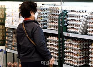 달걀 관세면제 연말까지 연장…총 3만6000t 무관세 수입