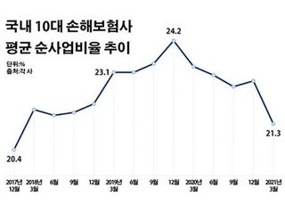 '1200% 룰' 뭐길래?…손보사 반사효과 '미소'