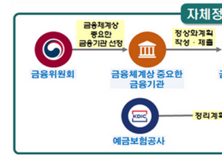 금융지주·은행, '사전유언장' 의무화…부실·도산 대비