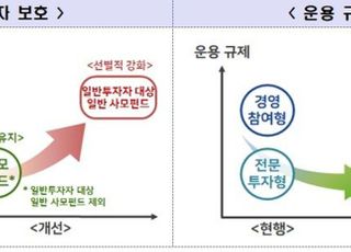 일반투자자·기관전용 분류한다…사모펀드 전면 개편 예고