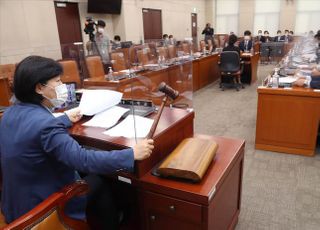 국회 행안위, 국민의힘 없이 대체공휴일법 가결