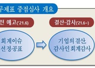 금감원, 상장사 재무제표 심사서 회계이슈 중점 점검