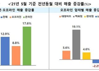 5월 유통업체 매출 12.9% 증가…기저효과·소비회복 등 영향