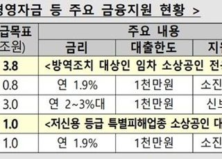 [2021 하반기경제정책] 집합금지·영업제한 소상공인 손실보상 신청 받는다