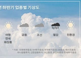 [하반기 전망] 업종 기상도…반도체·자동차 ‘맑음’ 철강 ‘먹구름’