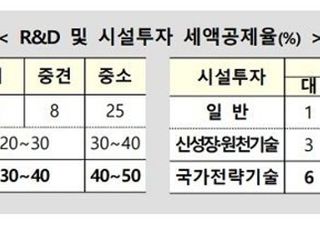 [2021 하반기경제정책] 반도체·배터리·백신 등 세제지원 강화