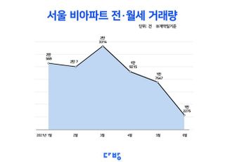 서울 非아파트 전월세거래량 전년대비 40% '급감'