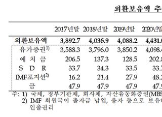 6월 외환보유액 4541억弗...전월比 23억5천만弗↓