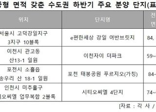 올해 수도권 매매가격 상승 ‘전용 85㎡초과 중형 면적’ 최고 높았다