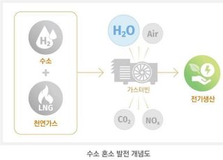 한화종합화학, '수소 혼소' 발전 기업 2곳 인수 완료