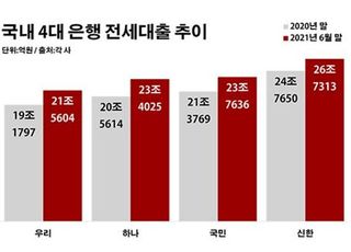 'DSR 사각지대' 전세대출, 서민 박탈감만 키운다