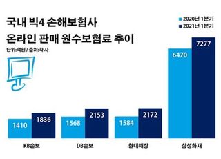 다이렉트 보험 급성장…손보사 양극화 부채질