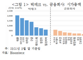 "빅테크, 보험업 진출 앞서 소비자보호 장치 마련 필요"