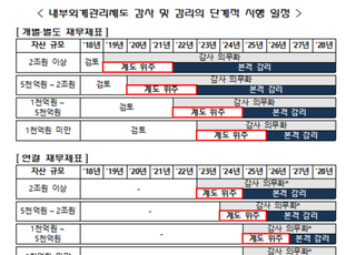 내부회계관리제도, 감리 실시…초기 계도기간 운영