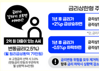 '금리상승 제한형 주담대' 재출시…월상환액도 고정