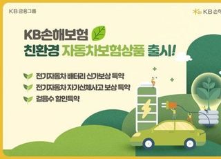 KB손보, 전기車·걷기 할인 특약 출시…ESG 경영 박차