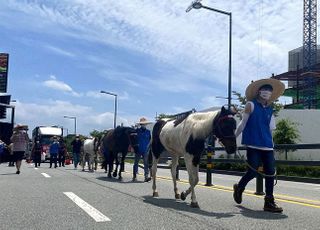 올해 마사회 축산발전기금 출연금 0원