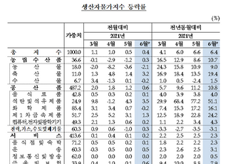 6월 생산자물가지수 8개월째↑....인플레 압력↑