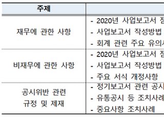 금감원, 언택트 공시설명회 개최