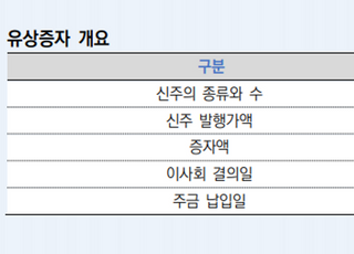 한신평 "하나캐피탈, 확대된 자본 활용 신용에 영향"