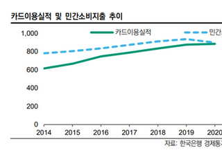 한신평 "신용카드사 내년 실적 저하 전망"