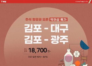 티웨이항공, 추석 연휴 김포-대구·광주 노선 부정기편 운항