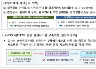 금감원, IFRS17 모범사례 배포…"정보비대칭 축소 기대"