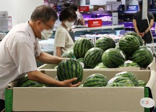 육계 1kg 6천원, 수박 한통 4만원…폭염에 밥상물가 '들썩'