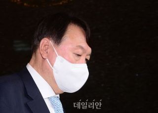 정제 못하는 尹 말꼬리 잡는 與 '악순환'