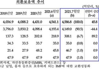 외환보유액 4587억 달러 '사상 최대'