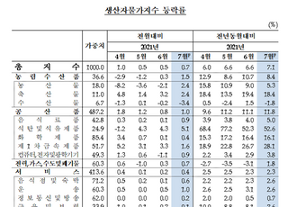 7월 생산자물가지수, 전월비 9개월째 상승