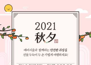 에어서울, 내달 추석 연휴 1주일간 수하물 10kg 무료 추가 서비스