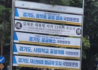 국회 앞 현수막 '경기도 행사'…조수진 "선관위는 뭐하나"